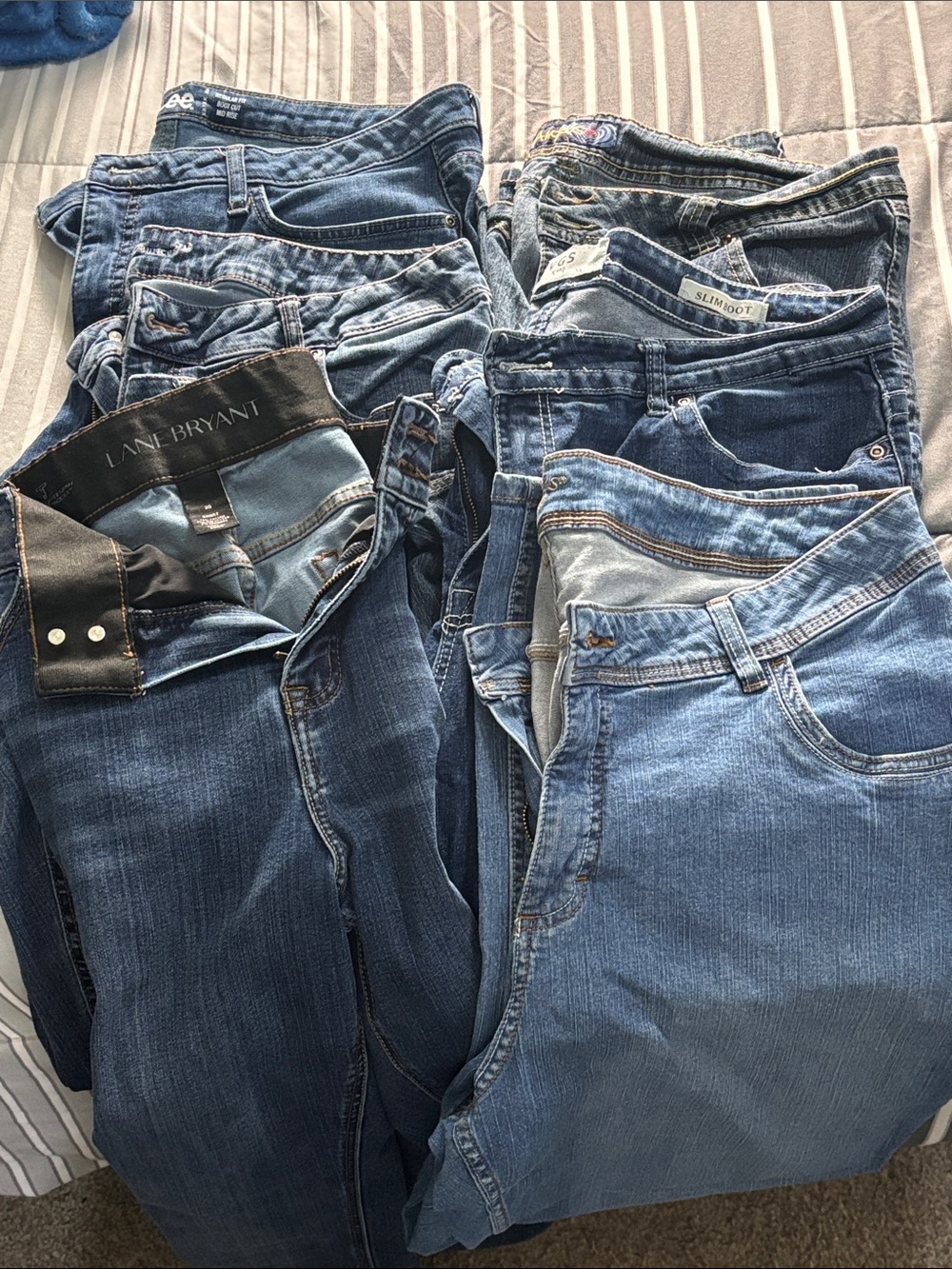 Lane Bryant Men's Jeans Assorted Blue Denim Lot